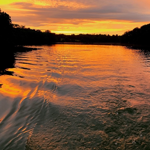 Meet your Posher, Matt - Picture 1 of 1